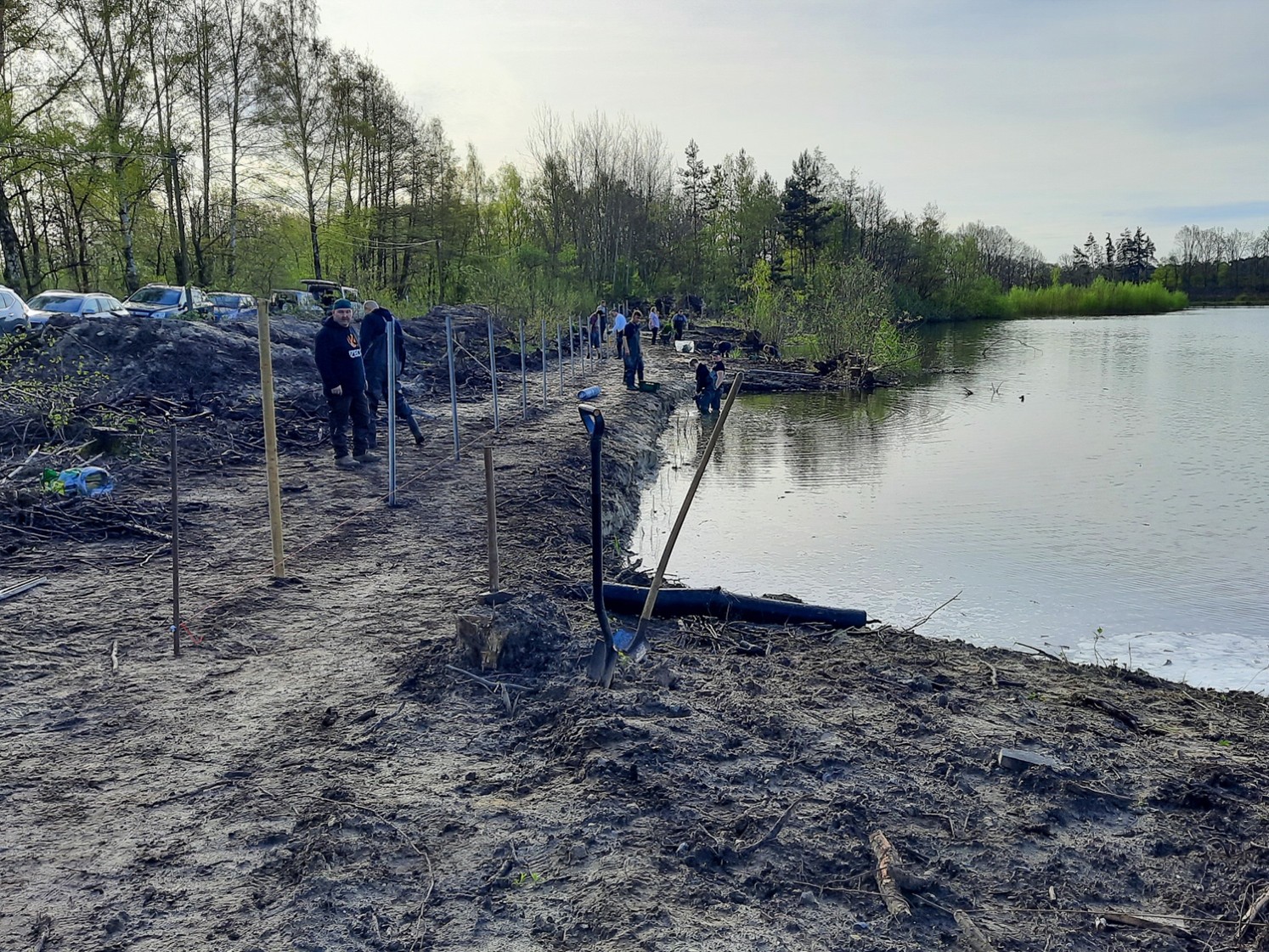 Renaturiertes Seeufer mit Einzäunung