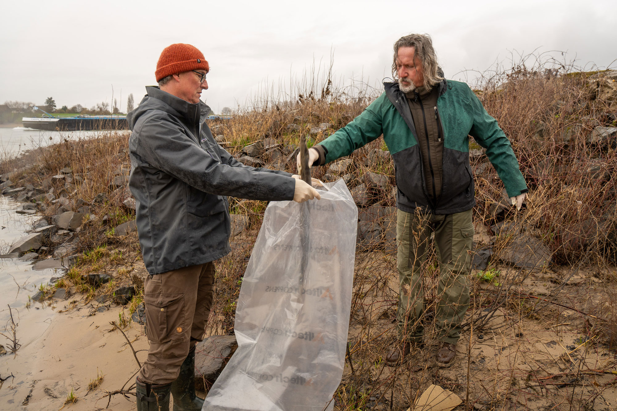 Zwei Personen sammeln Kadaver toter Aale am Rheinufer.