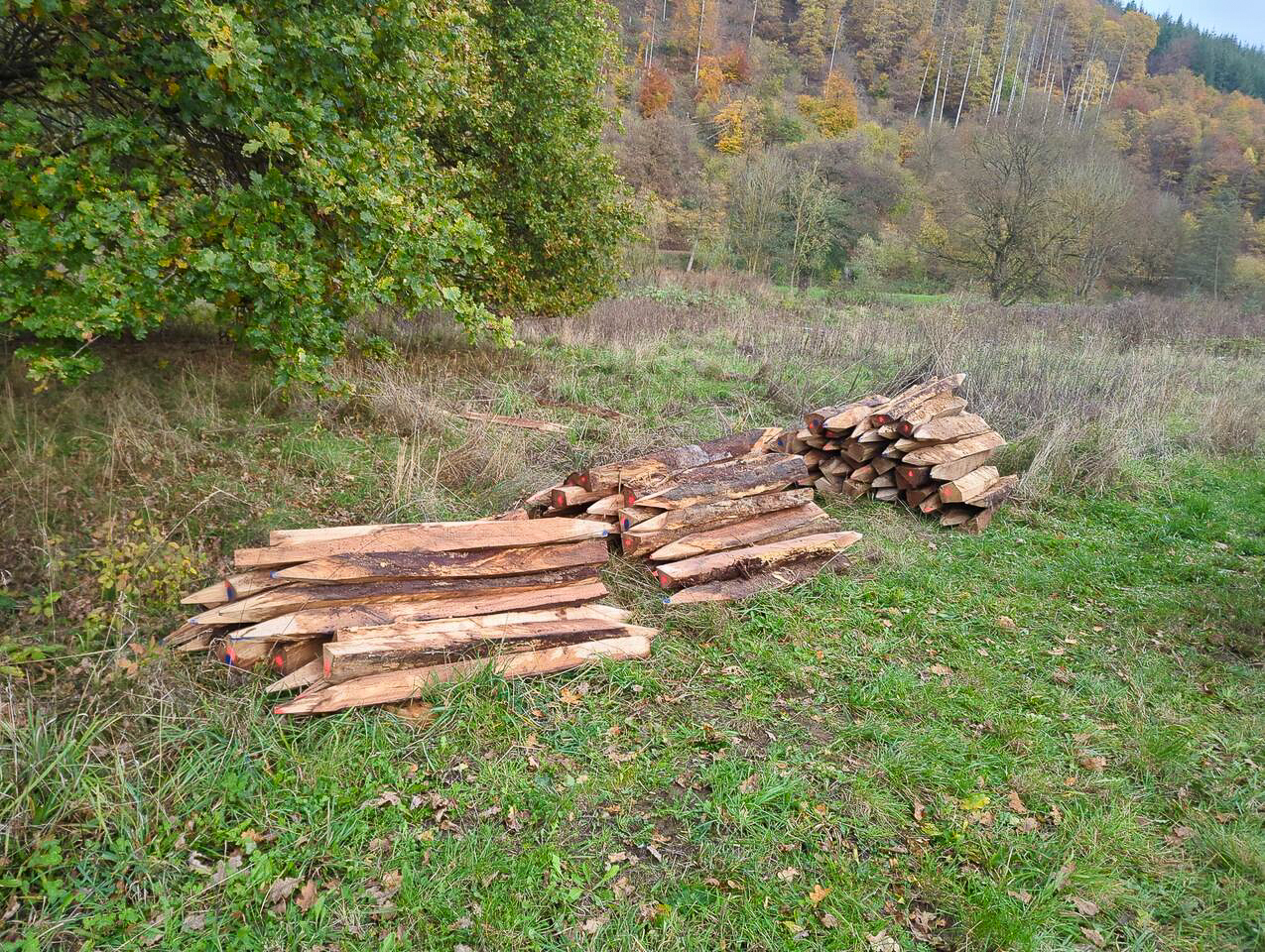 Drei Stapel Eichenholzpfähle auf einer Wiese