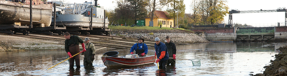 Boot mit 5 Personen beim Elektrofischen an der Lippe