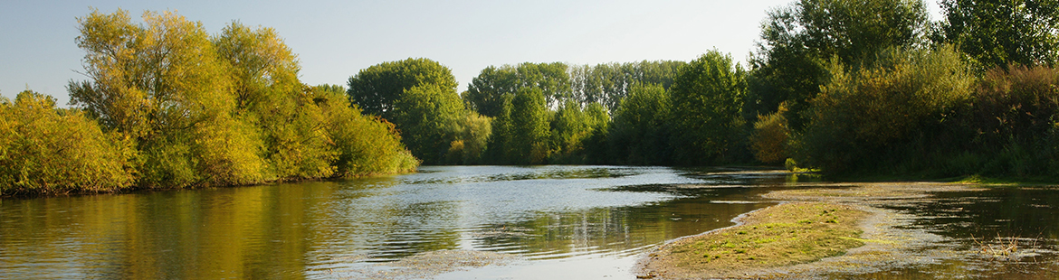 Bild von der Lippe