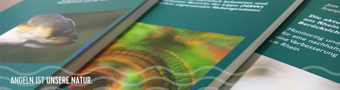 Detailfoto verschiedener Broschüren