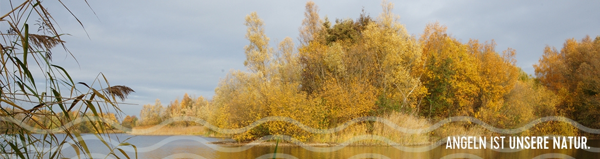 Ein Landschaftsbild eines Seeufers
