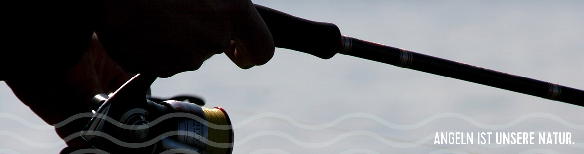 Angelrute und Angelrolle