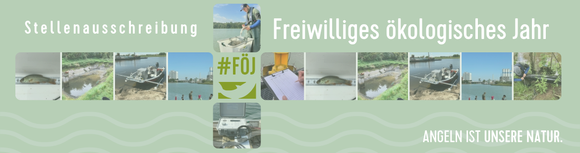 Banner zur Stellenausschreibung für ein freiwilliges ökologisches Jahr