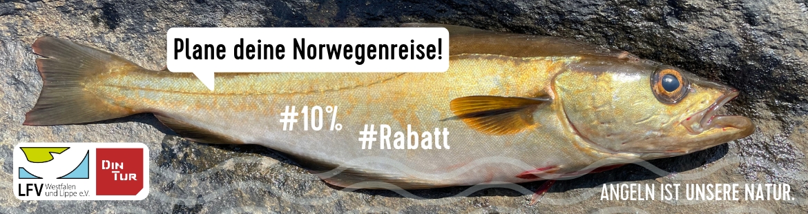 Ein Fisch