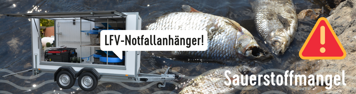 Ein Anhänger im Vordergrund, im Hintergrund tote Fische am Ufer.