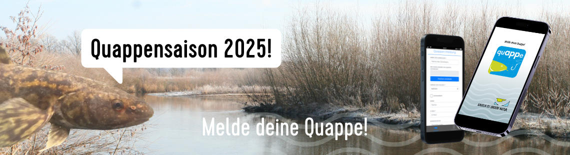 Quappensaison