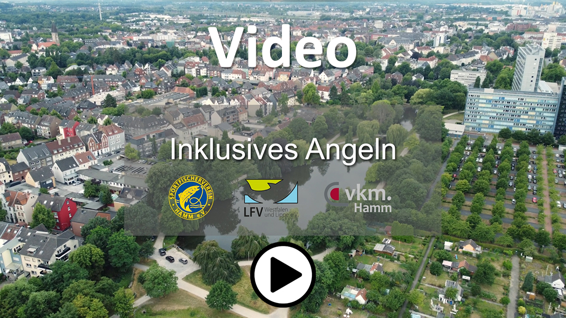 Thumbnail eines Videos