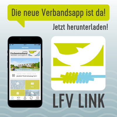 LFV Link Grafik zur LFV-App