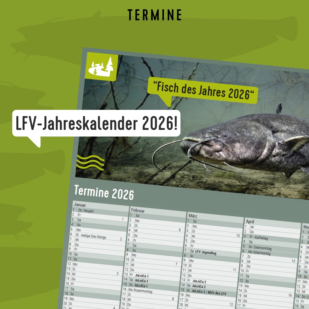 Jahreskalender 2027 Jahreskalender 2027