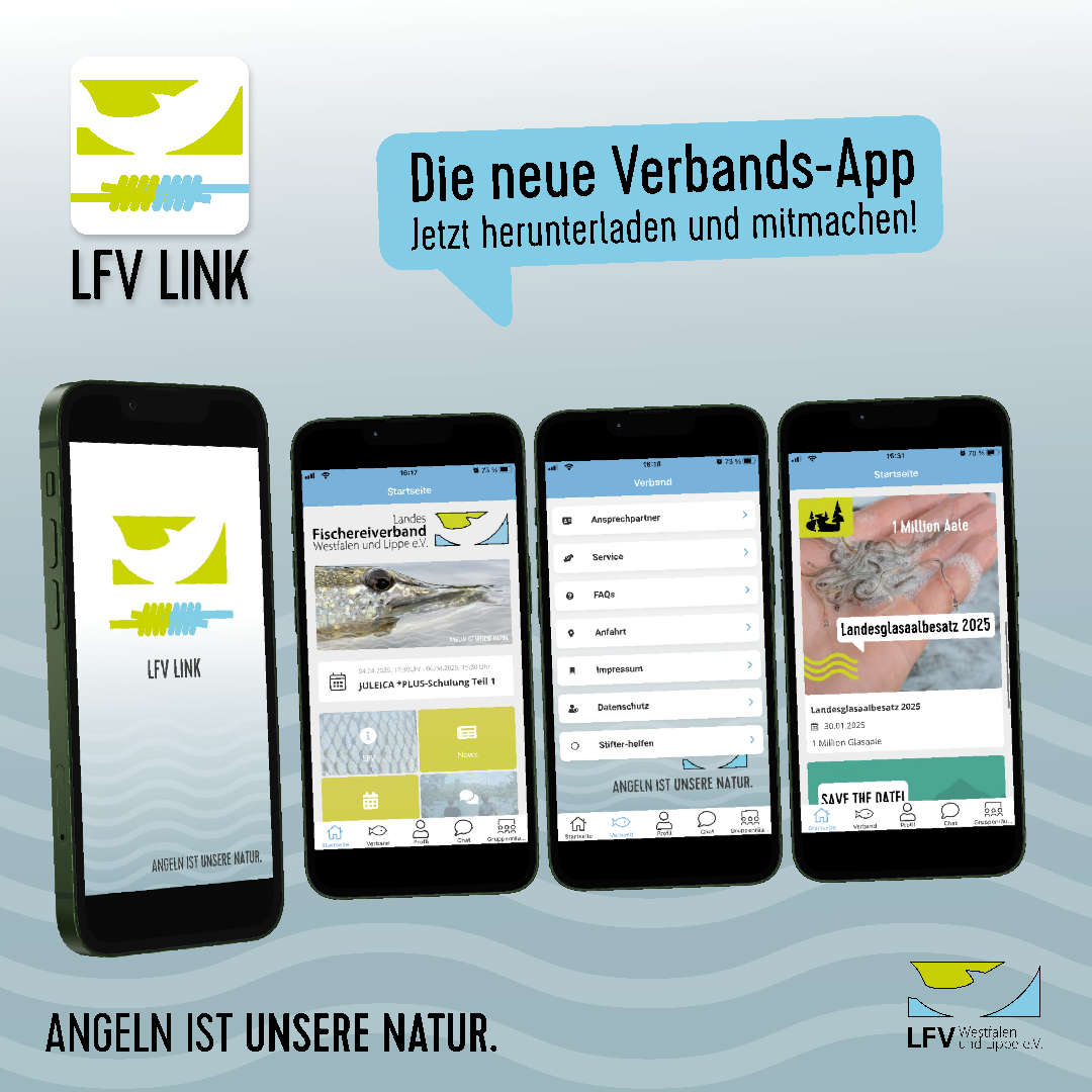 Grafik zur Verbands-App Grafik zur Verbands-App