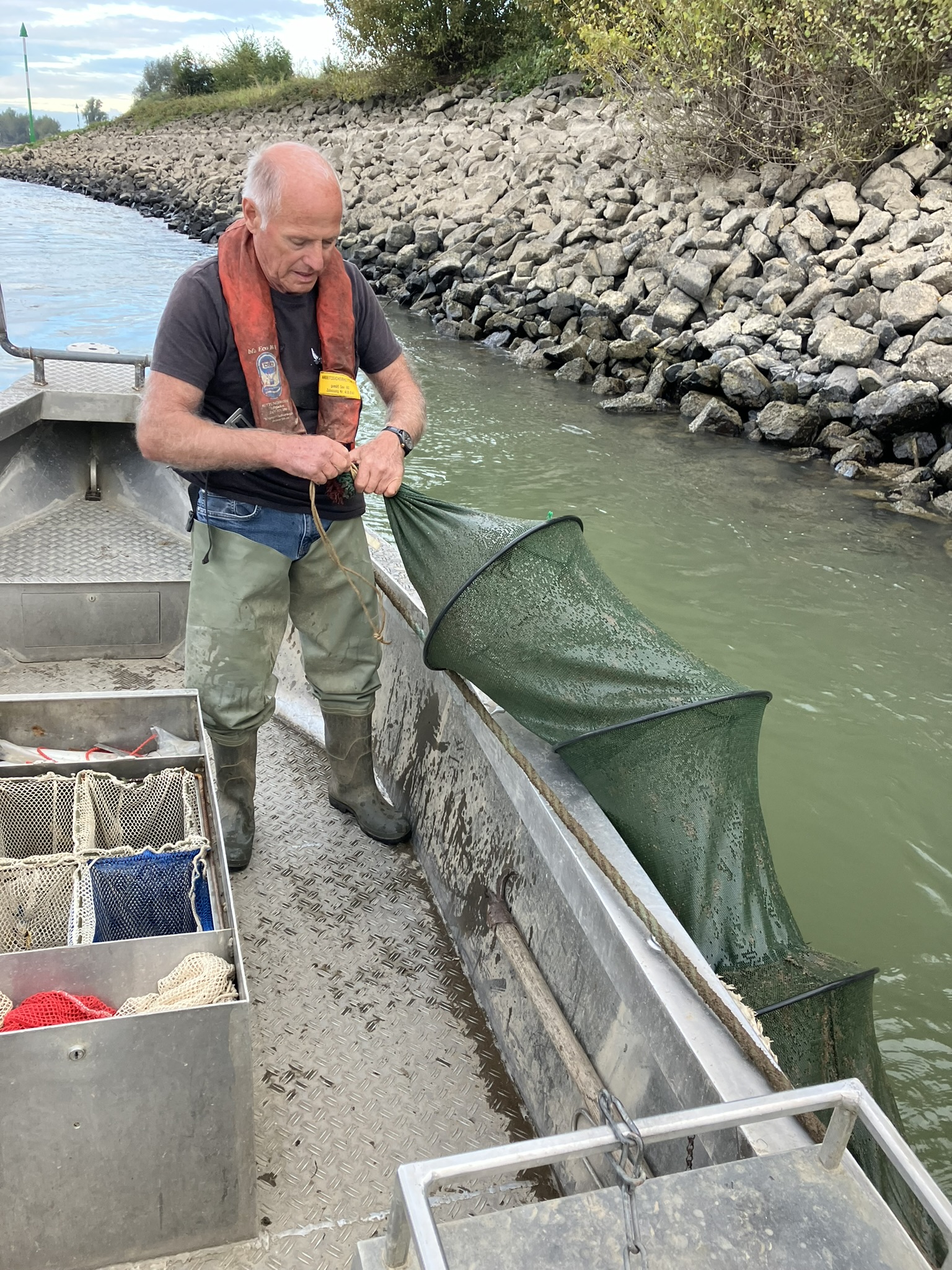 Ein Fischer leert die Reuse auf einem Boot am Rhein.