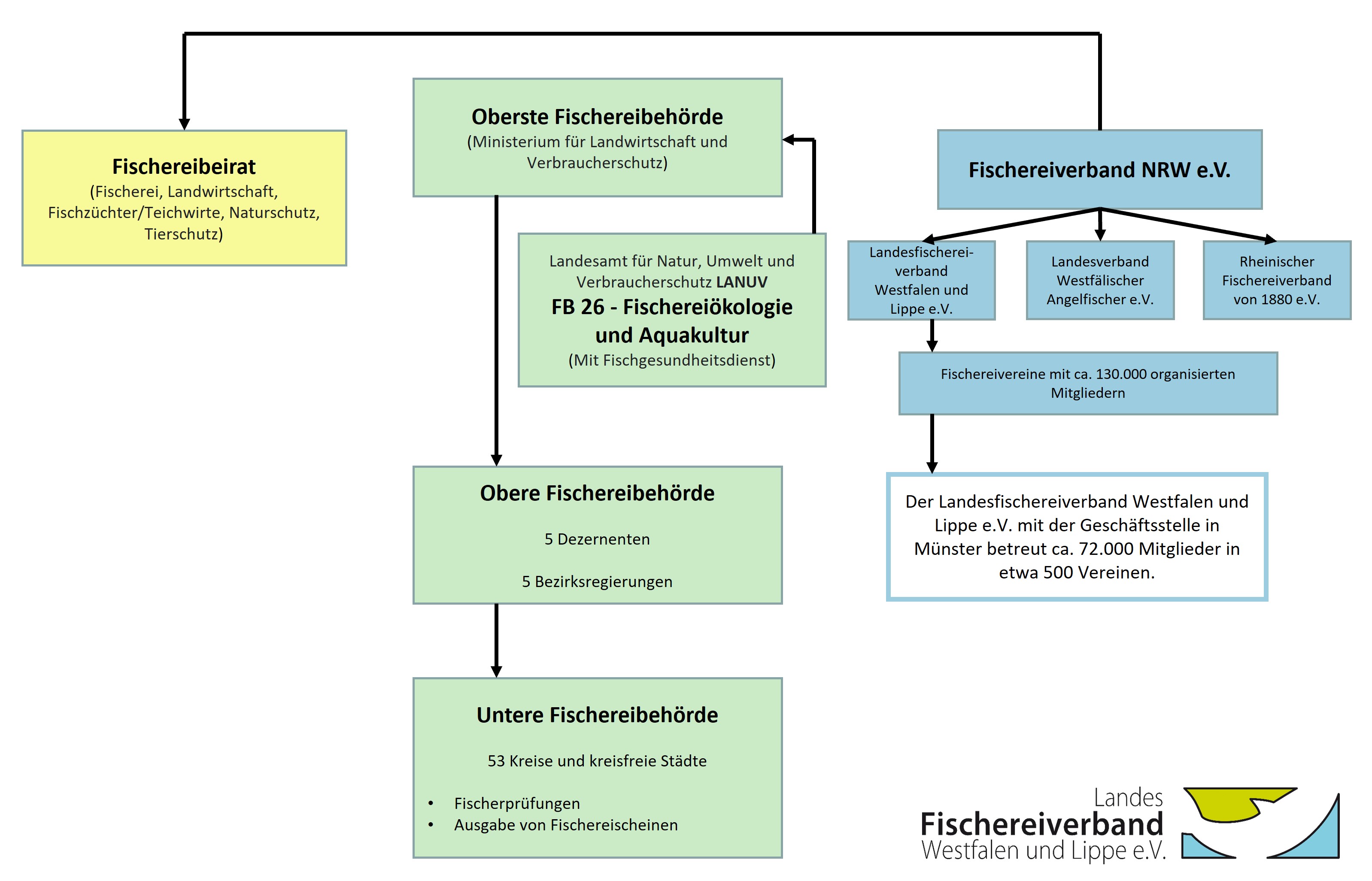 Schema zur Organisation der Fischerei in NRW