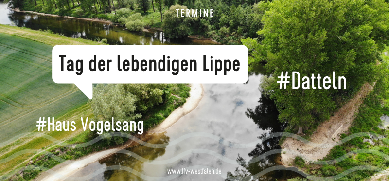 Die Lippe Thumbnail zur Veranstaltung "Tag der lebendigen Lippe".